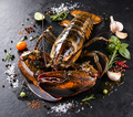Royal Maine Lobster: Fresh Catch, Premium Quality