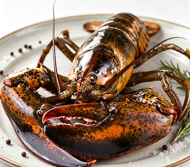 Royal Maine Lobster: Fresh Catch, Premium Quality